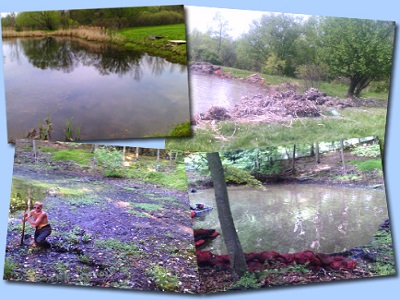 Pond Restoration